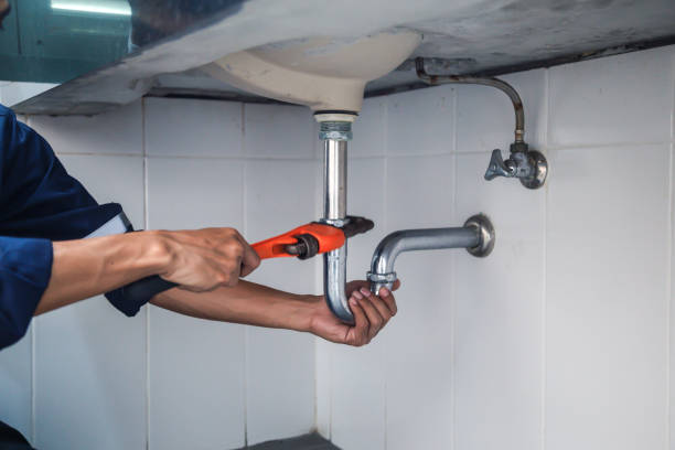 Best Plumbing Services Near Me  in Riverdale Park, MD